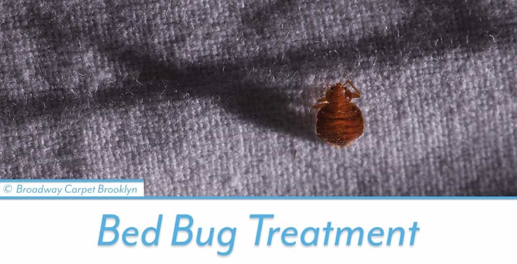 Bed Bug Treatment - Northeast Flatbush 11212