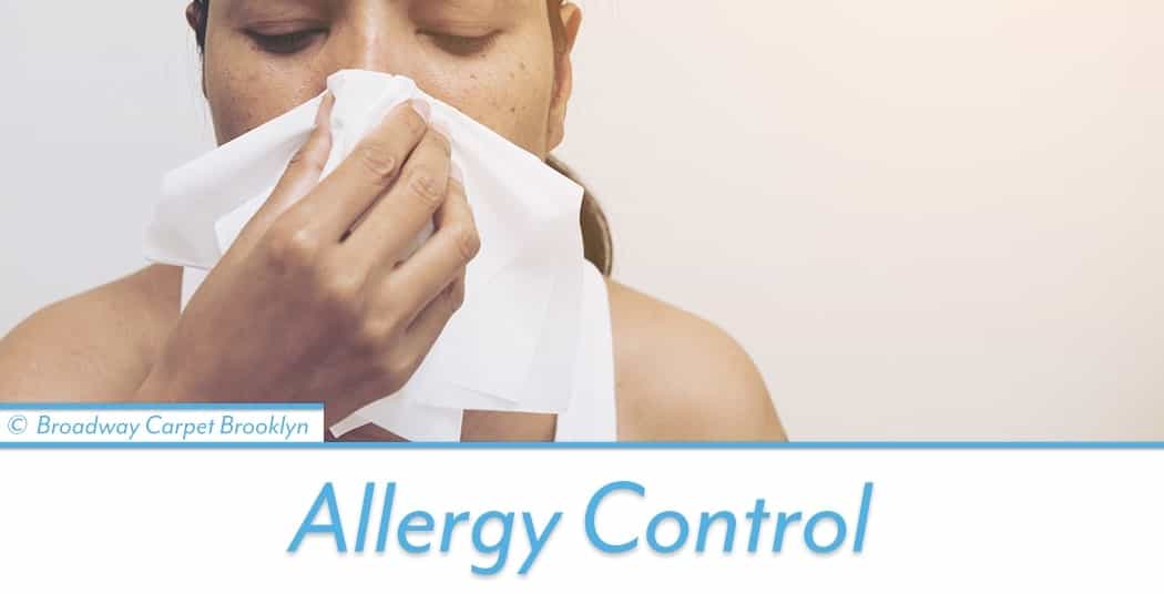 Allergy Control - Crown Heights 11225