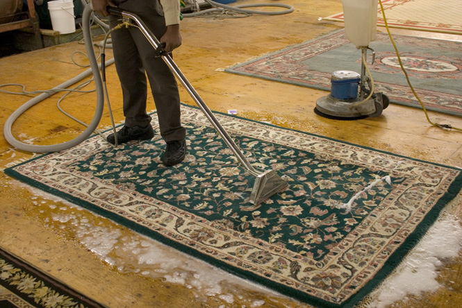 Area and Oriental Rug Cleaning - Crown Heights 11225