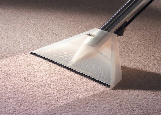 Carpet Cleaning - Northeast Flatbush 11212